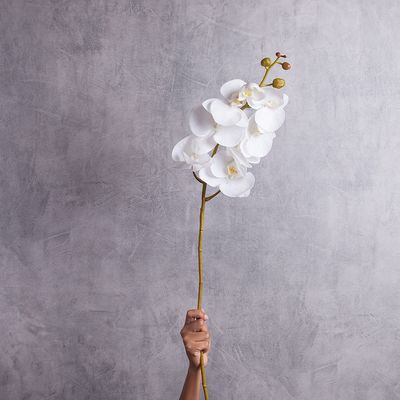 01 Galho de Orquídea Objetos Flores permanentes